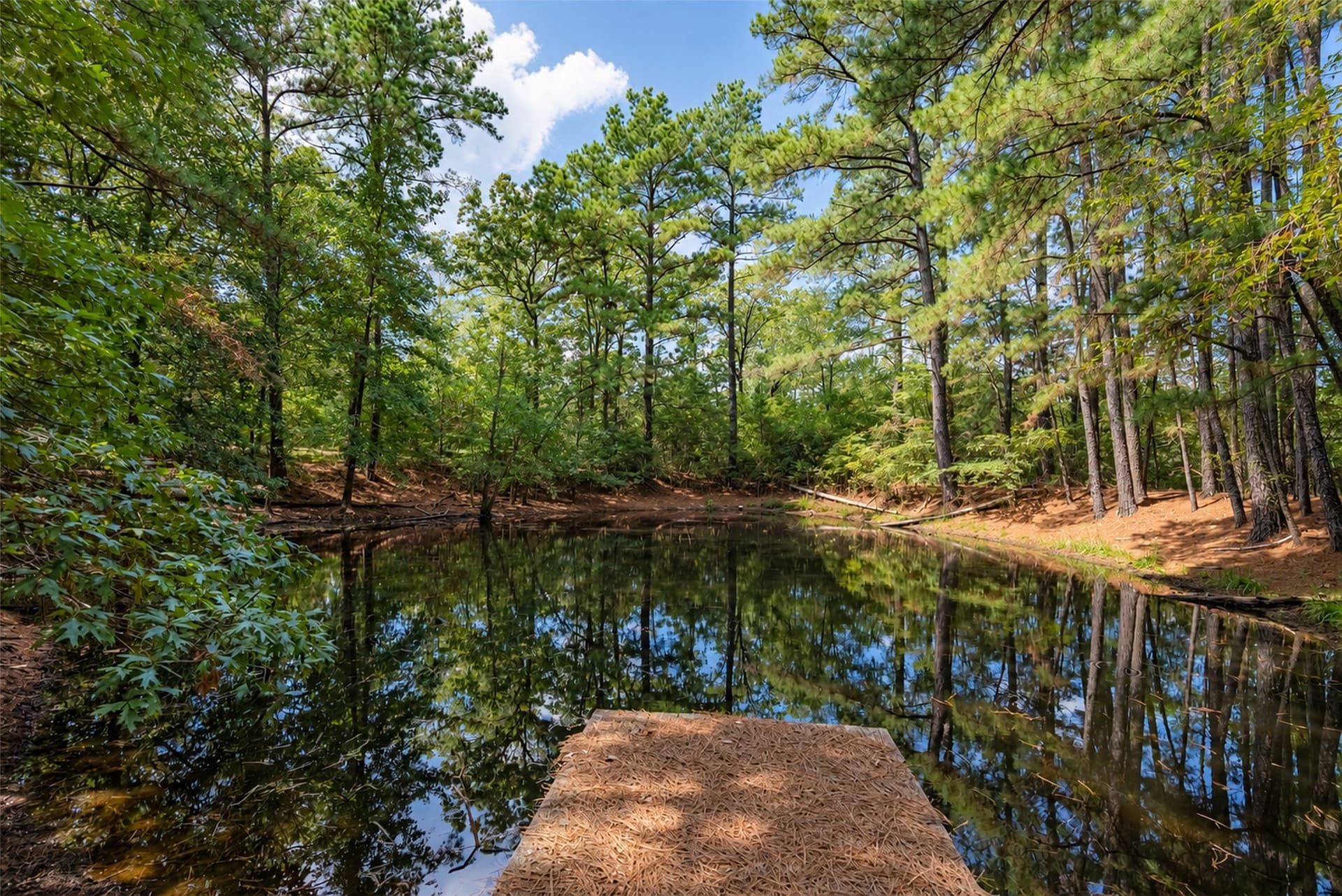 24.99 acres in Anderson County - photo 3
