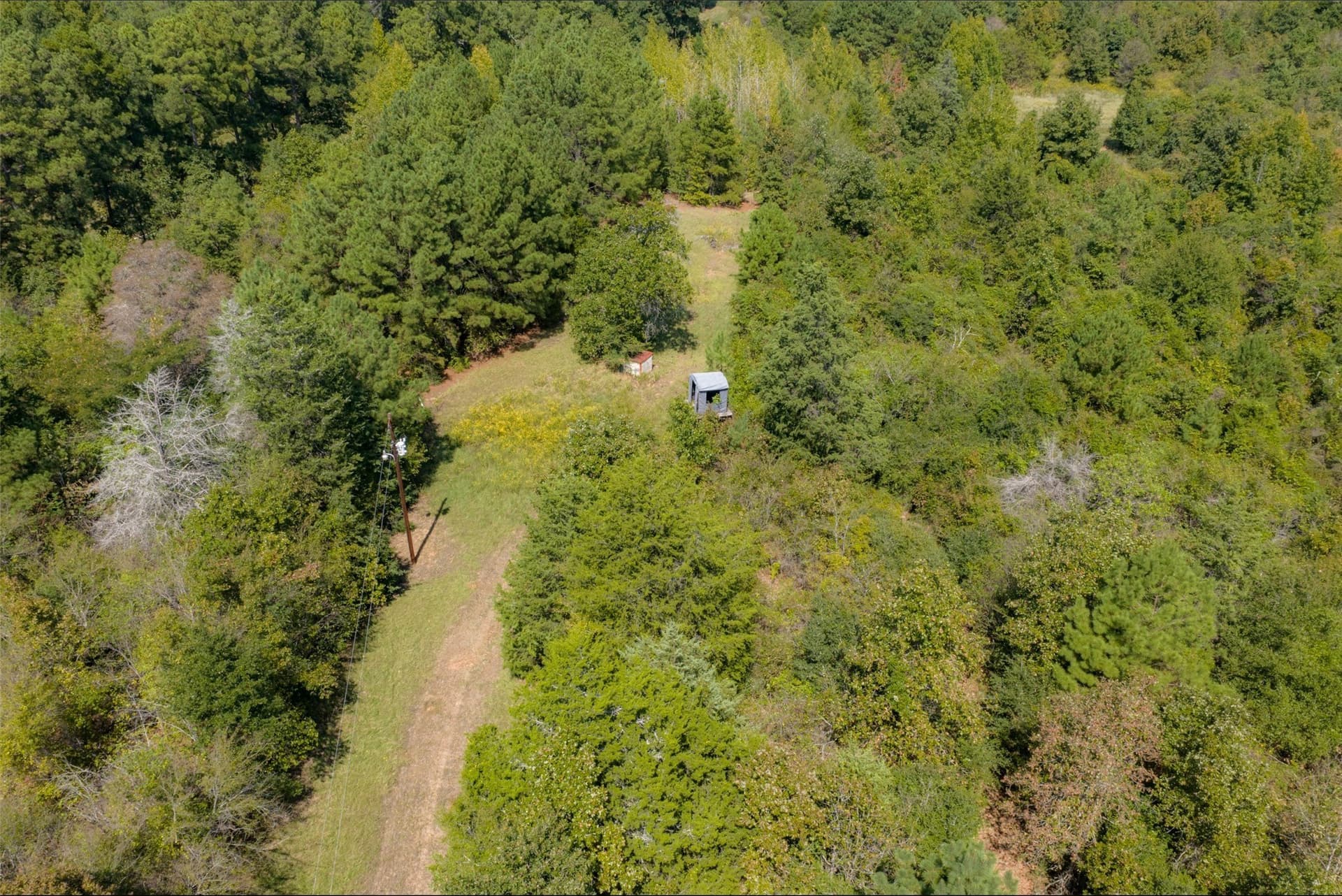 24.99 acres in Anderson County - photo 36