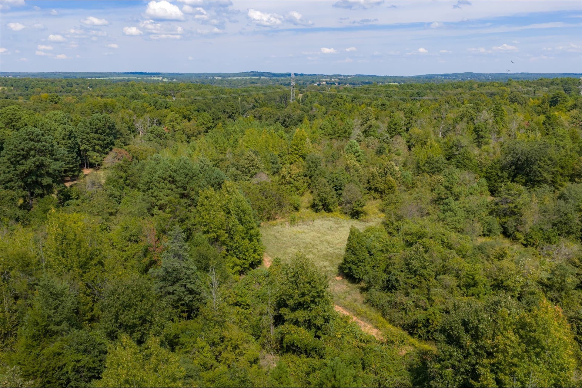 24.99 acres in Anderson County - photo 13