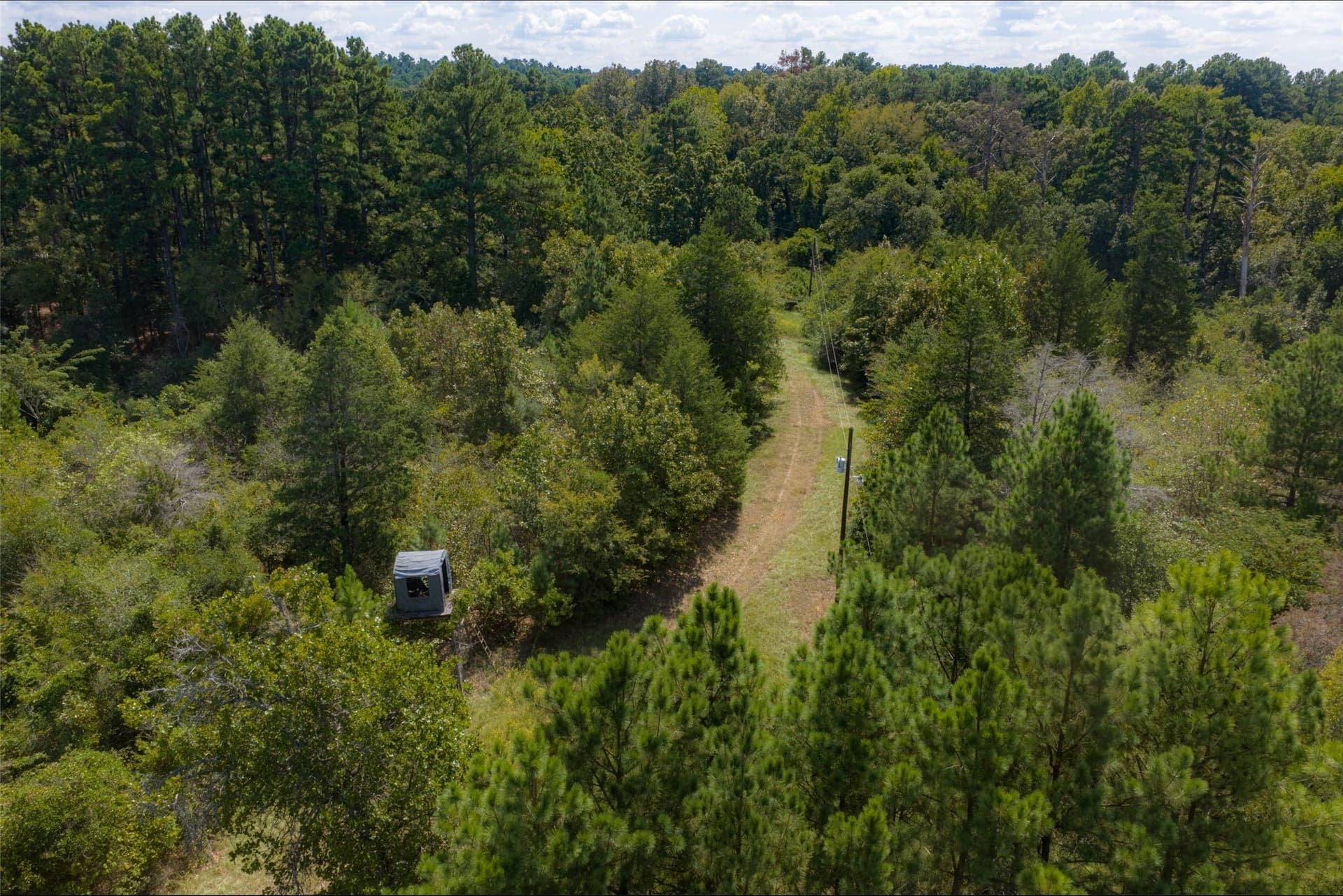 24.99 acres in Anderson County - photo 16