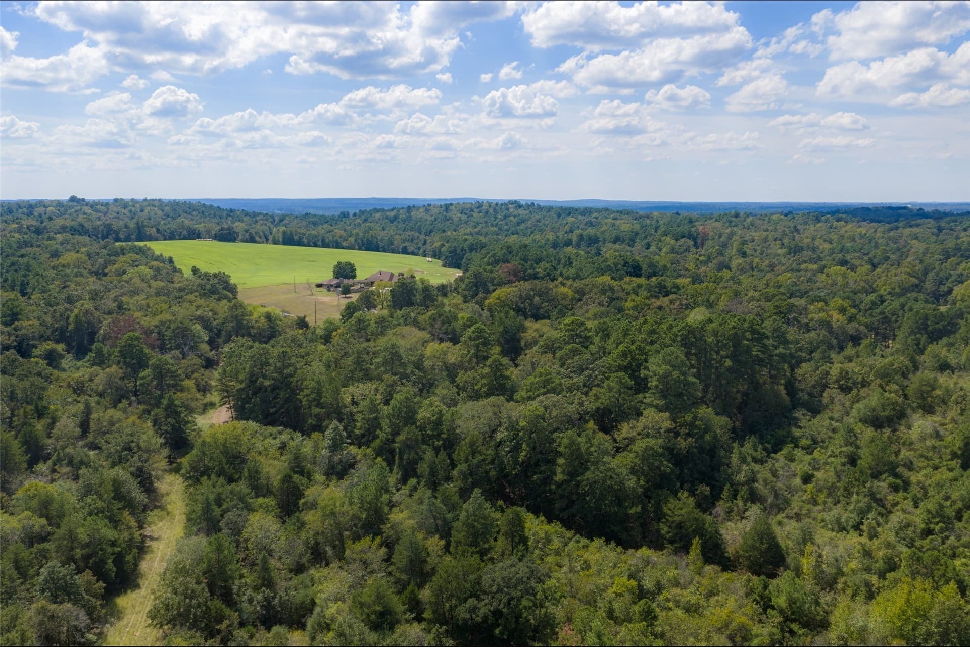 24.99 acres in Anderson County - photo 6