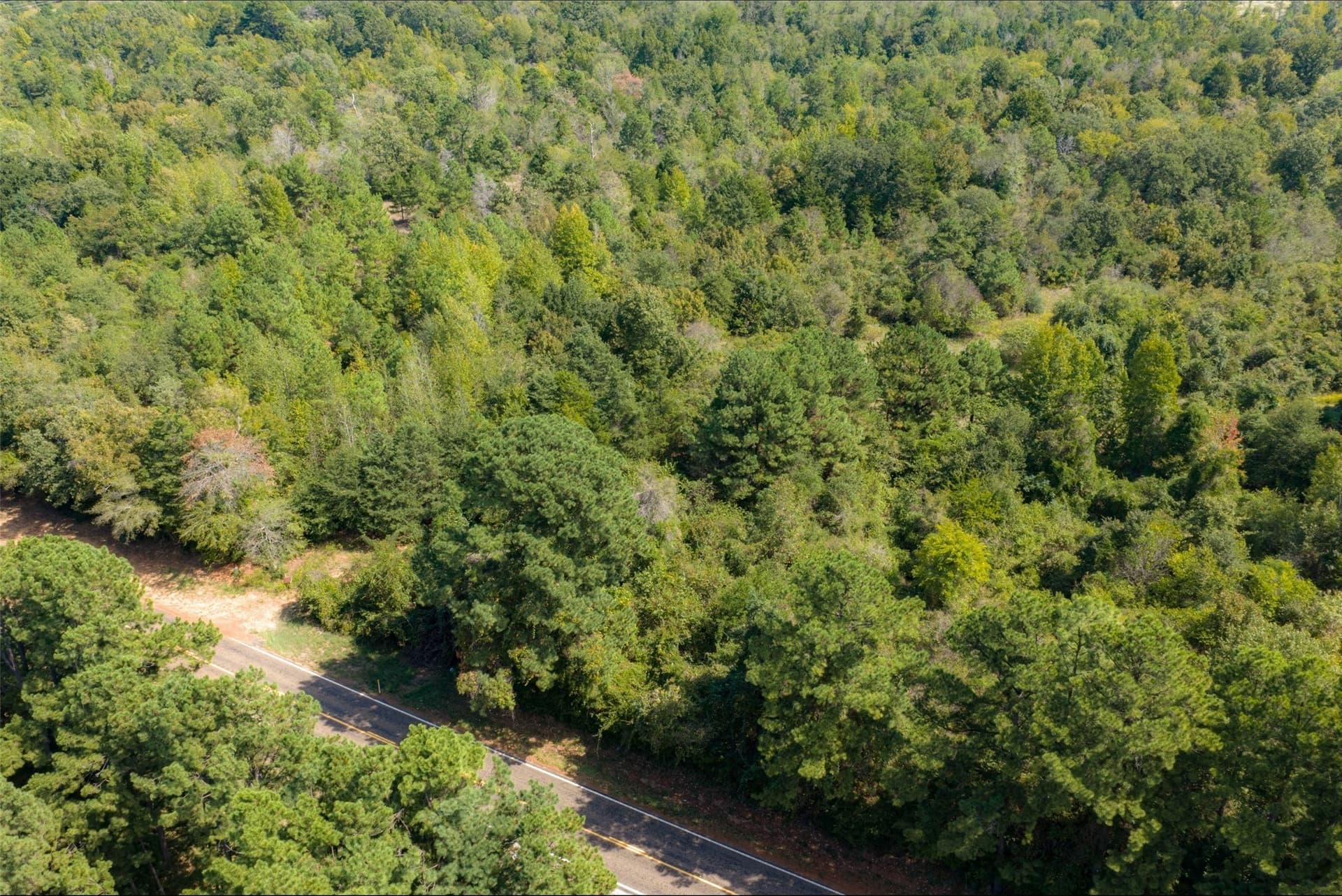24.99 acres in Anderson County - photo 17