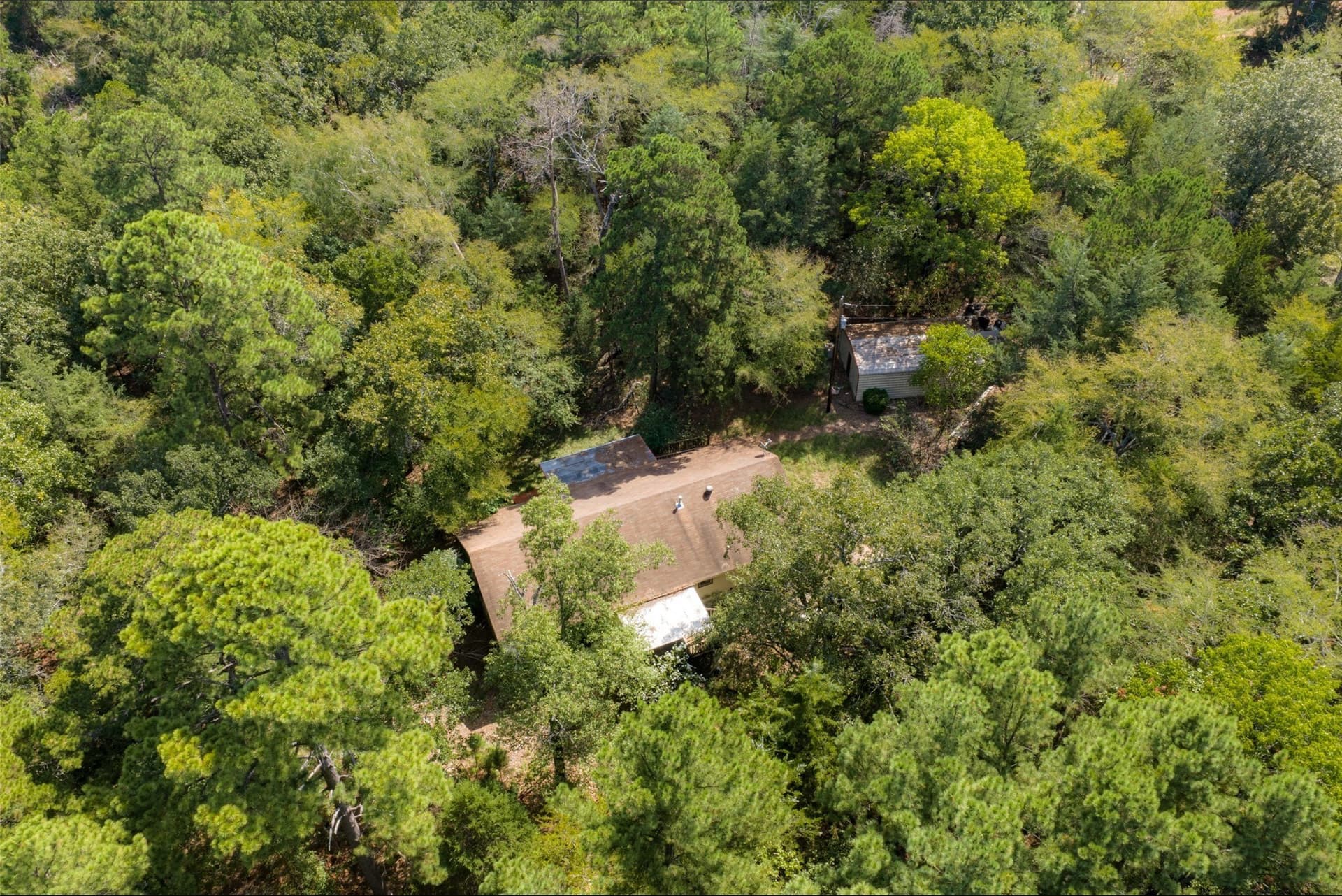24.99 acres in Anderson County - photo 7