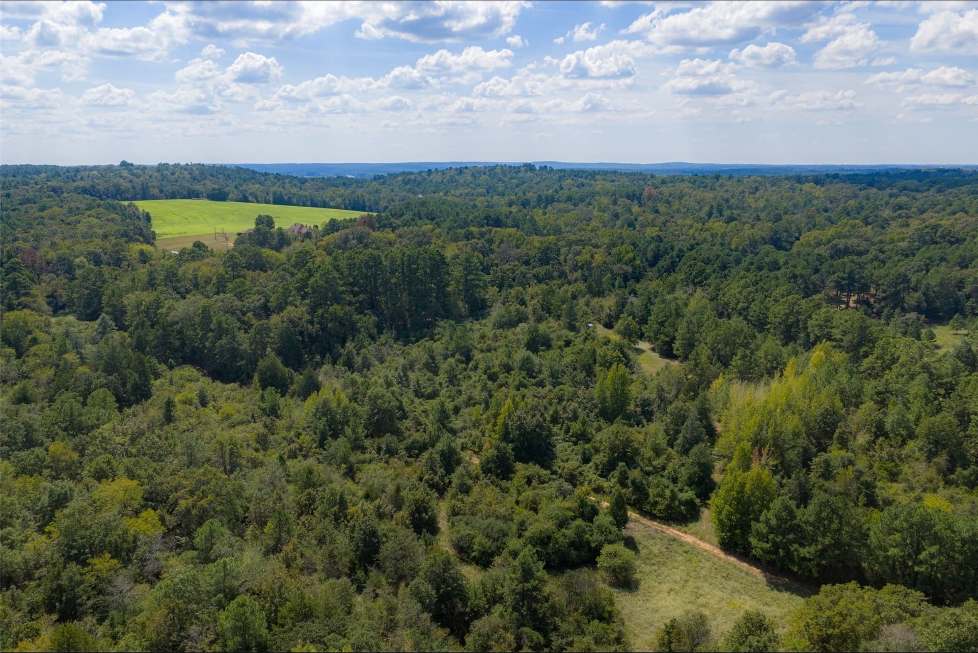 24.99 acres in Anderson County - photo 15