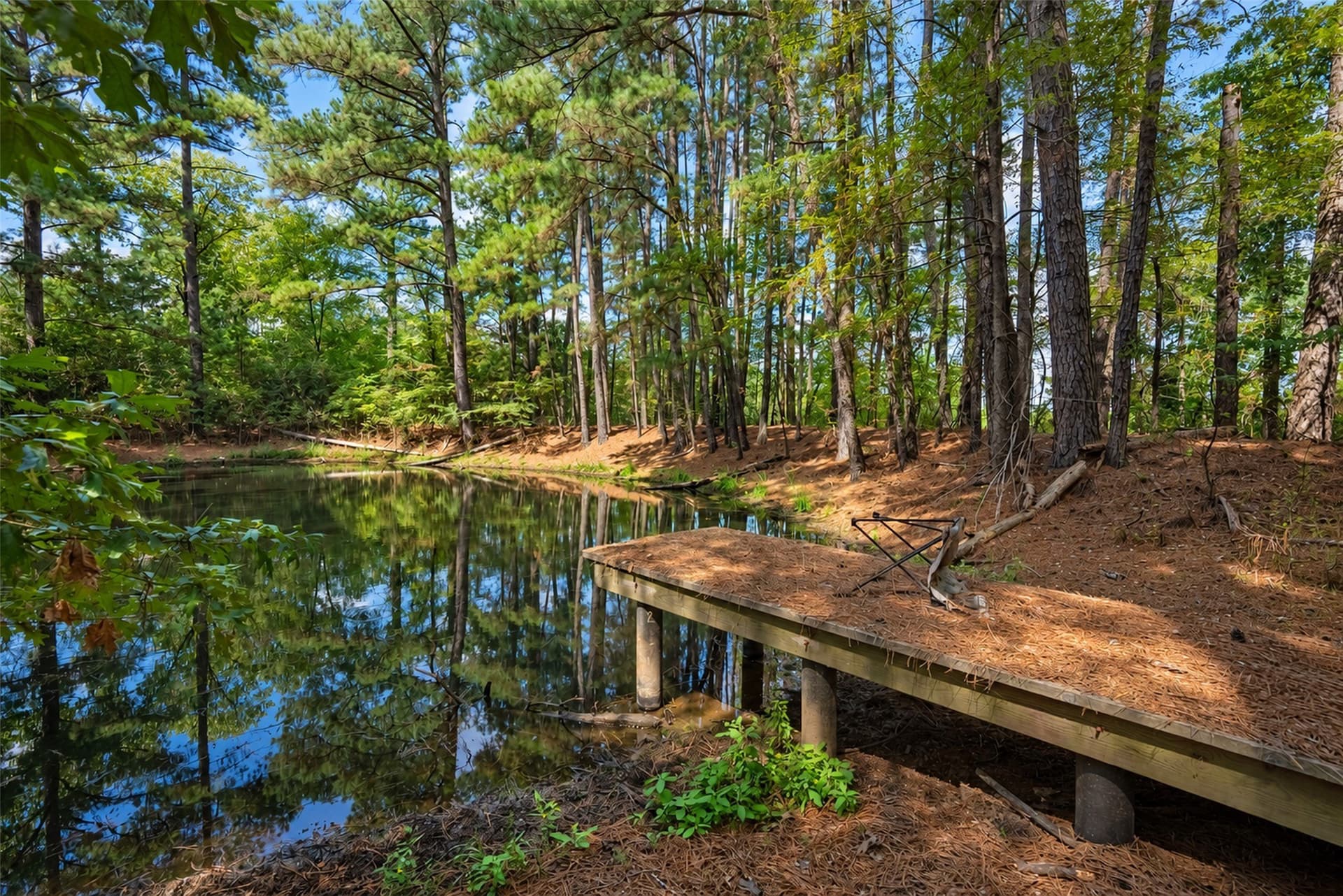 24.99 acres in Anderson County - photo 9