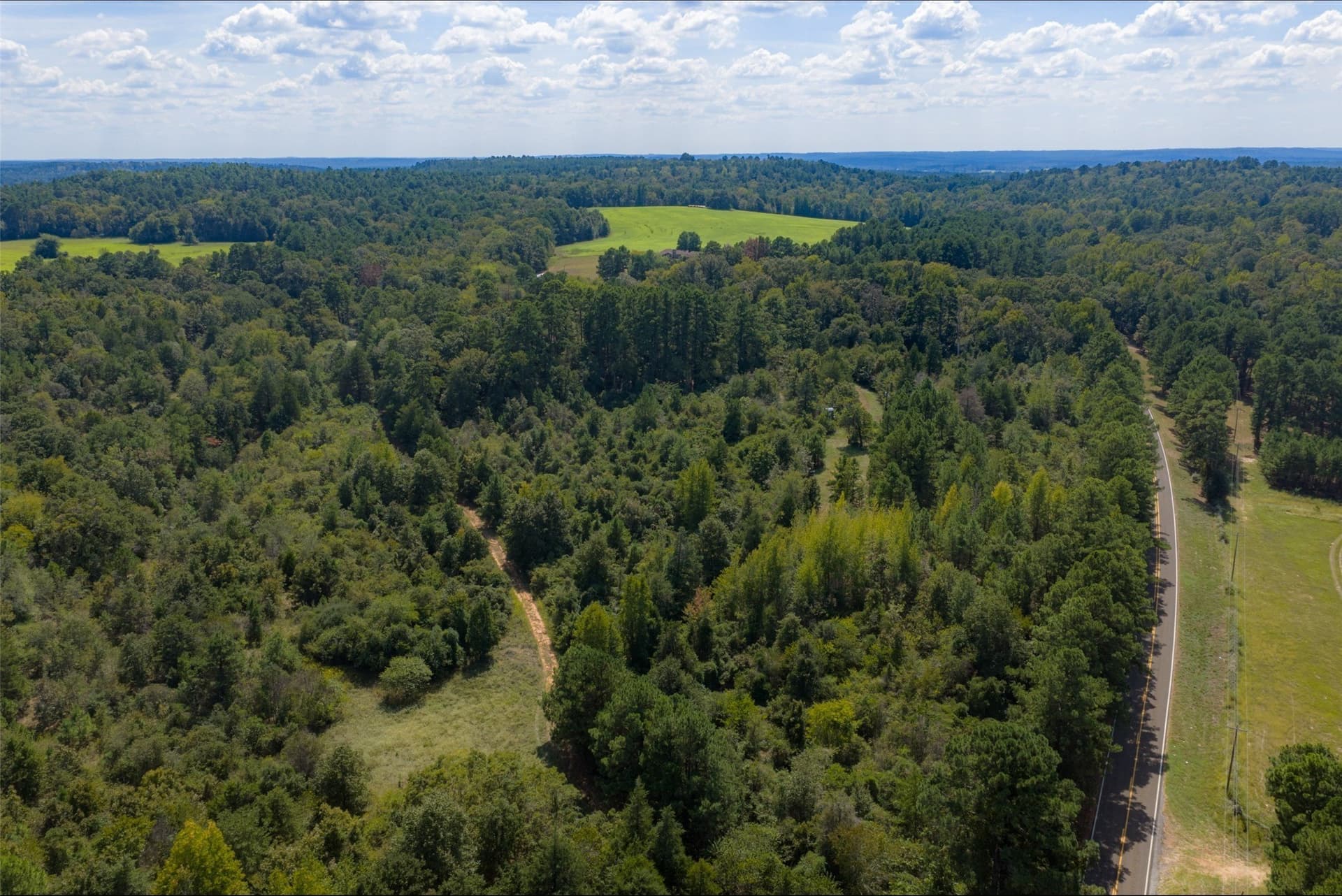 24.99 acres in Anderson County - photo 14