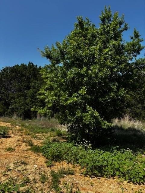 6.02 acres in Parker County featured view