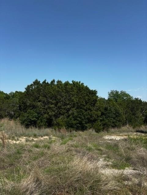 6.02 acres in Parker County gallery image 3
