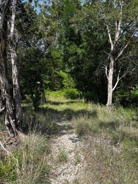 6.02 acres in Parker County gallery image 2