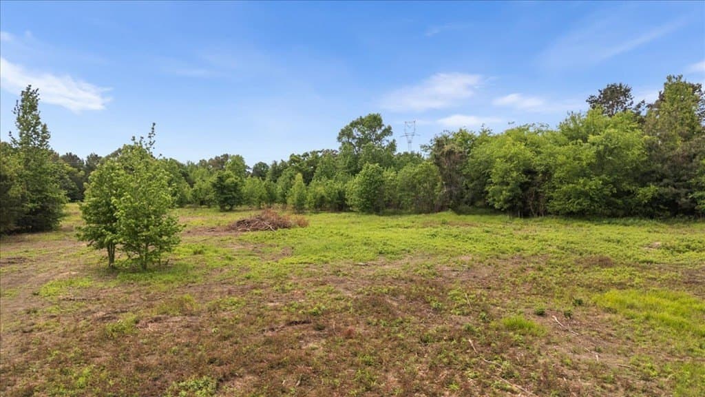 2 acres in Texas County - photo 12