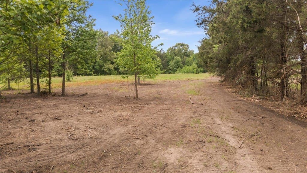 2 acres in Texas County - photo 17
