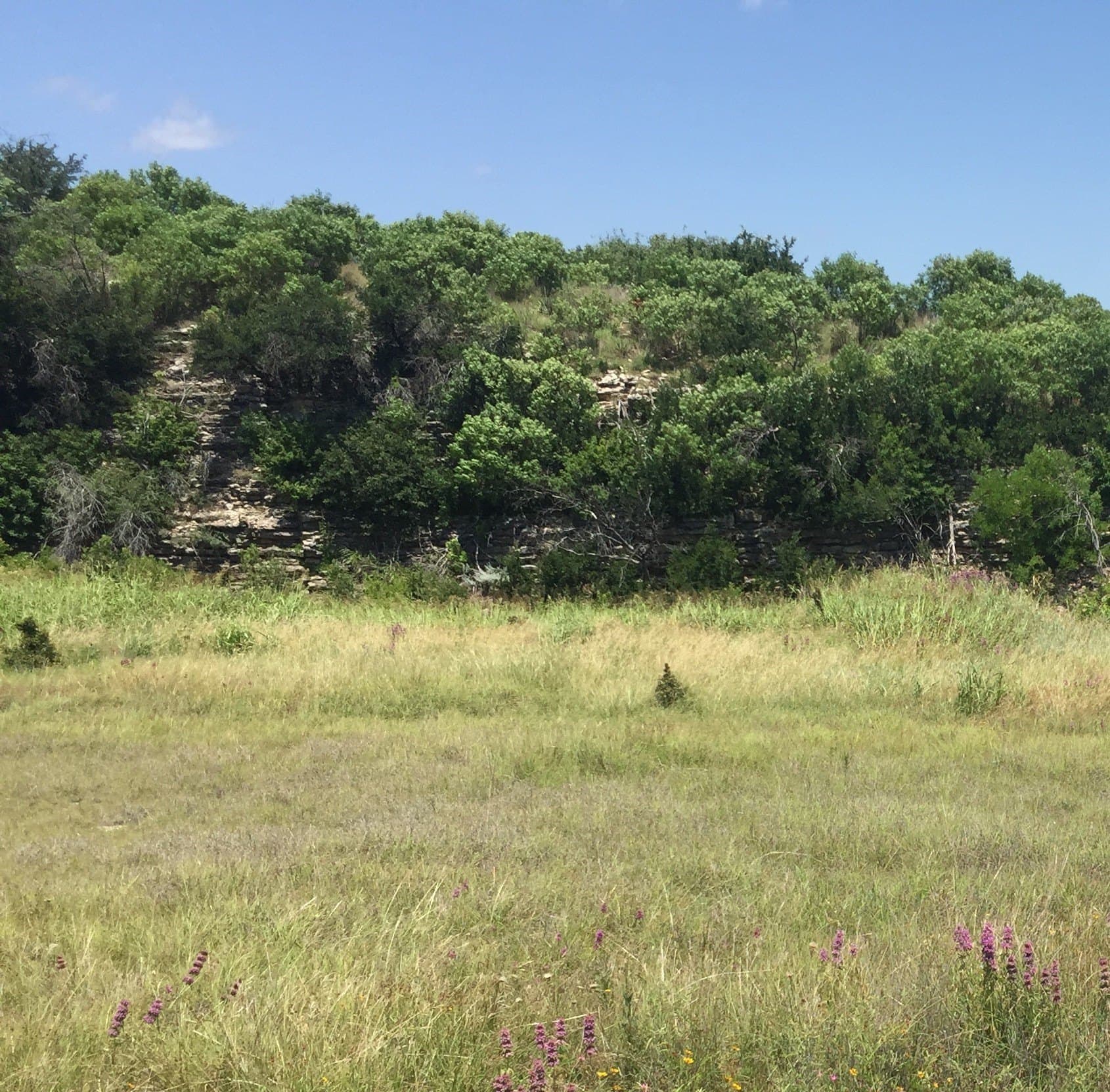 0.25 acres in Palo Pinto County gallery image 3