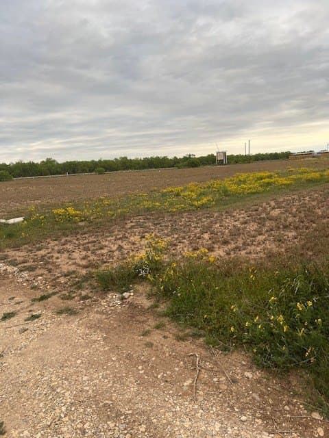 10 acres in Tom Green County gallery image 2