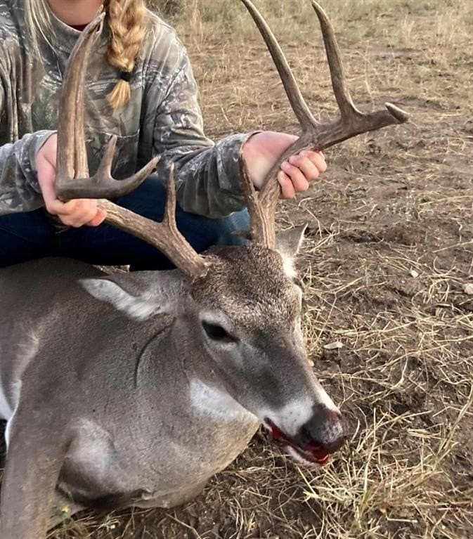 243 acres in Mills County gallery image 3