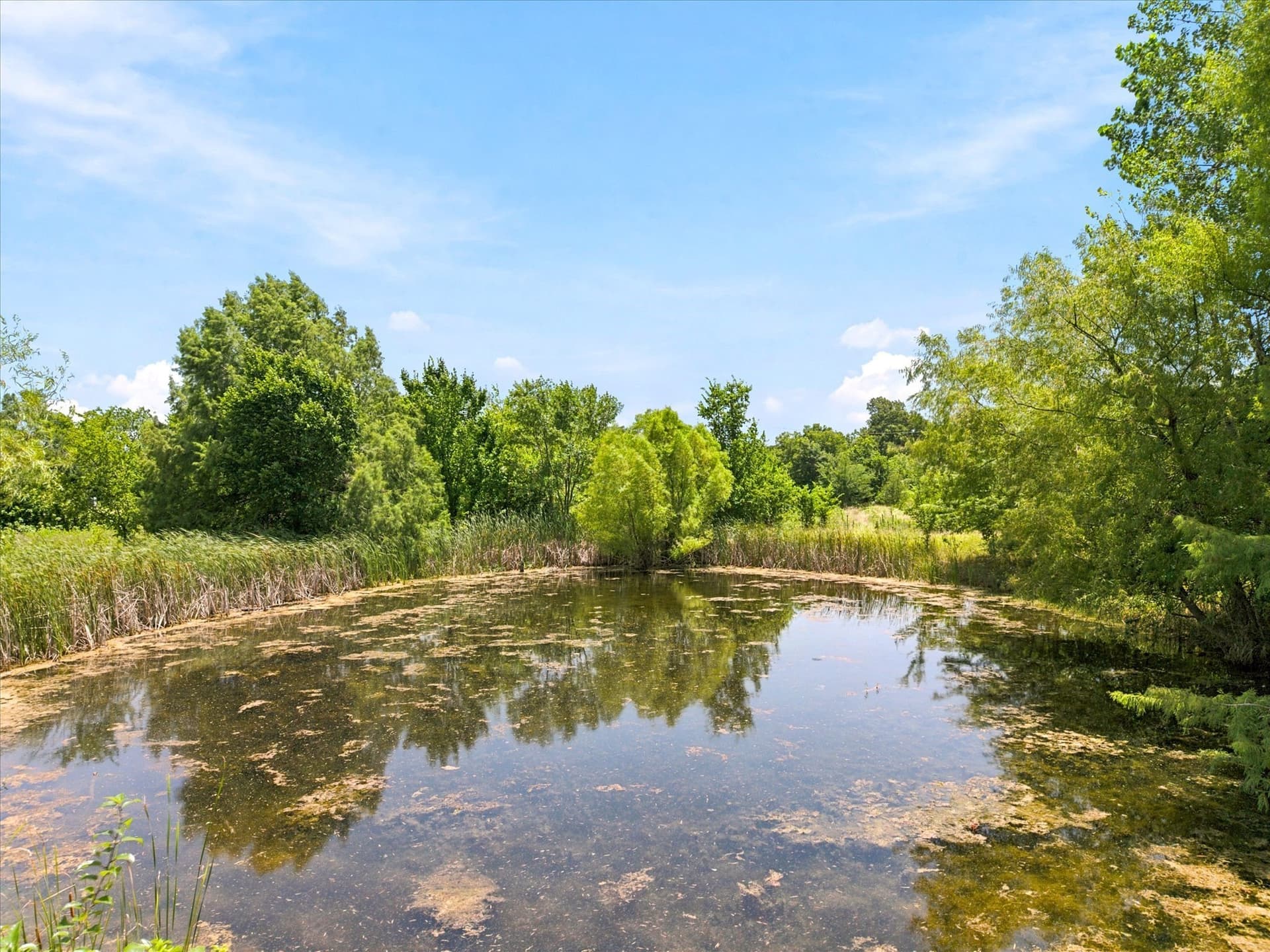 27.75 acres in Hunt County - photo 7