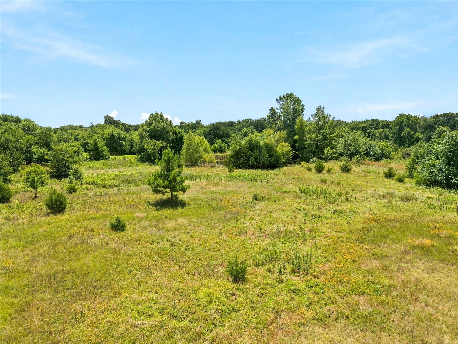 27.75 acres in Hunt County - photo 15