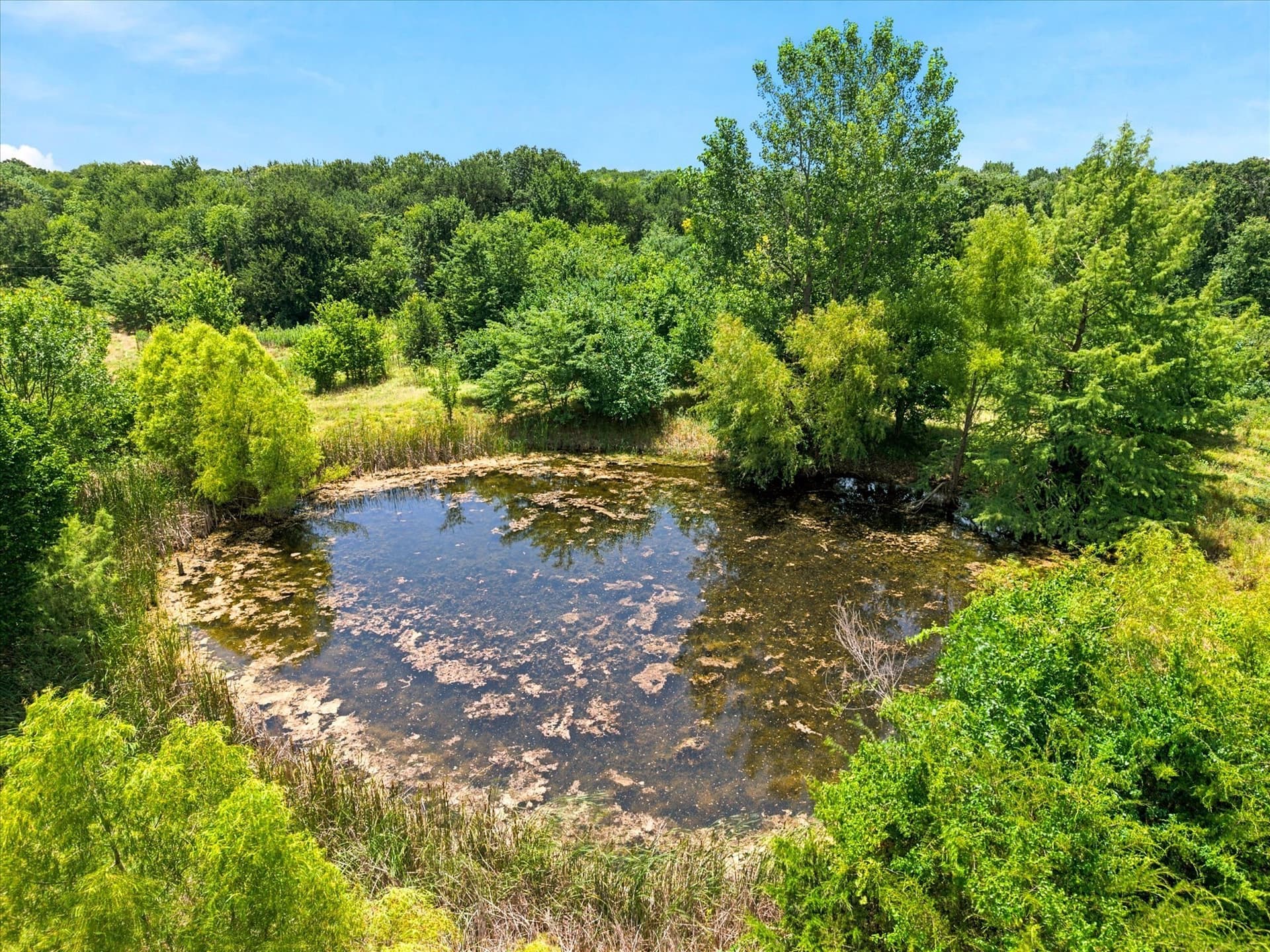 27.75 acres in Hunt County - photo 6