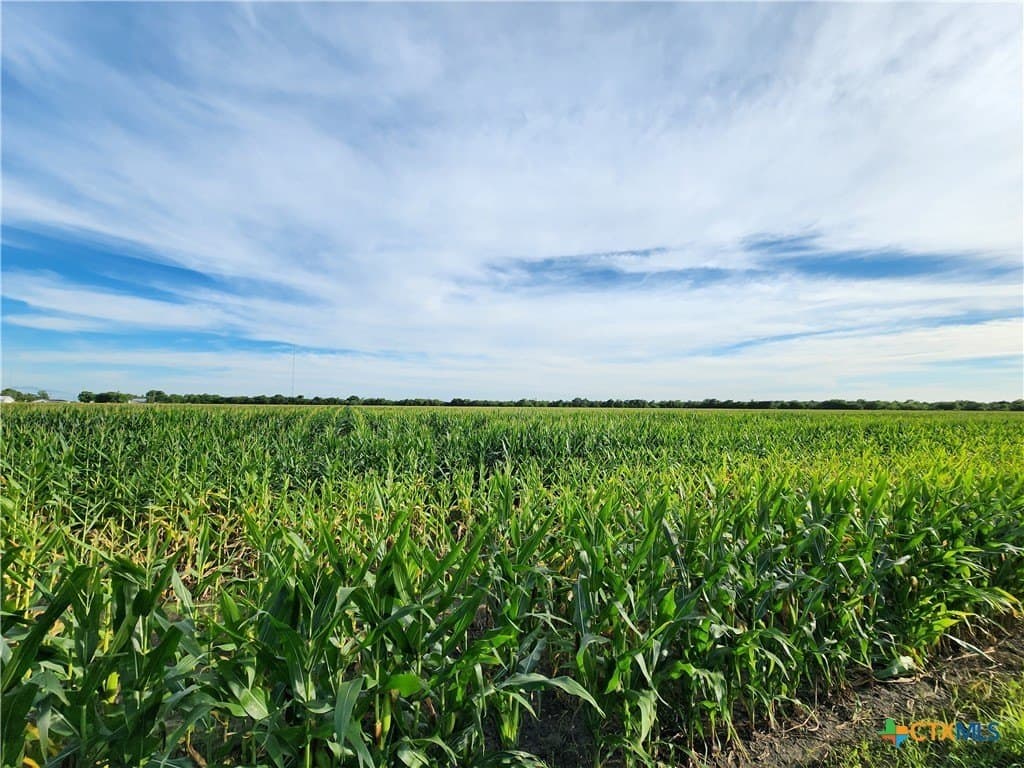 21.31 acres in Victoria County