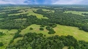 493.52 acres in Rains County - photo 14