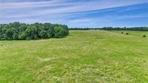 493.52 acres in Rains County - photo 31