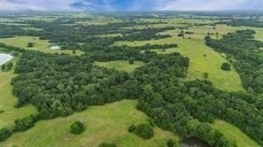 493.52 acres in Rains County - photo 25