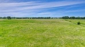 493.52 acres in Rains County - photo 11