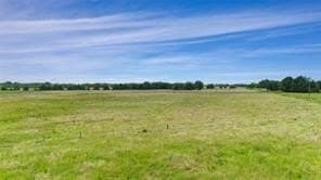493.52 acres in Rains County - photo 26