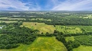 493.52 acres in Rains County - photo 23