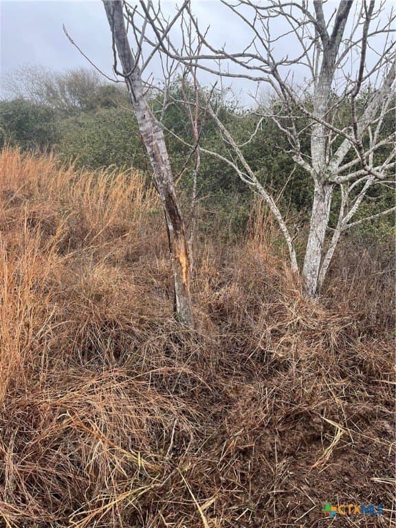 10 acres in Victoria County gallery image 2