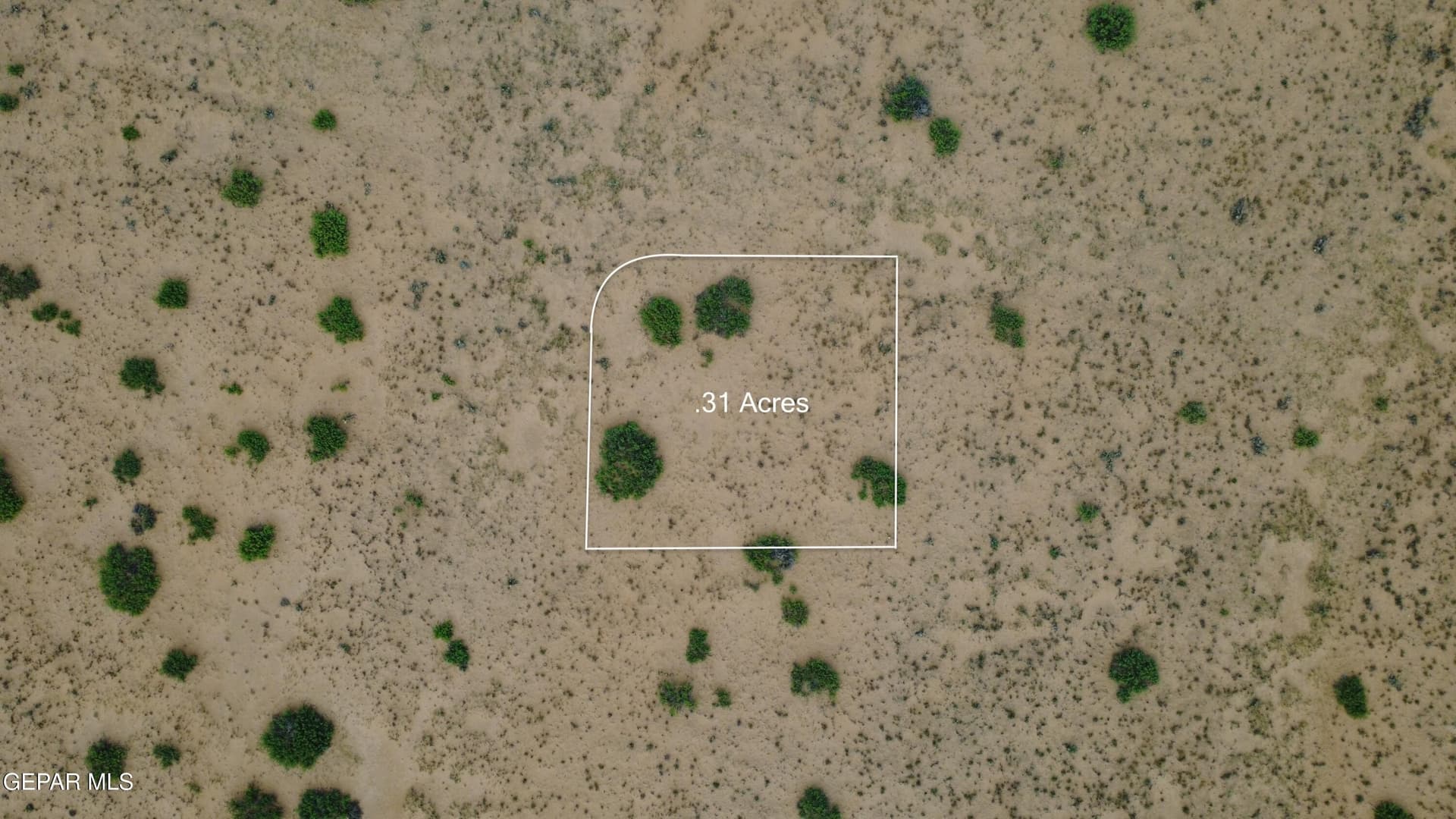 0.31 acres in El Paso County gallery image 2