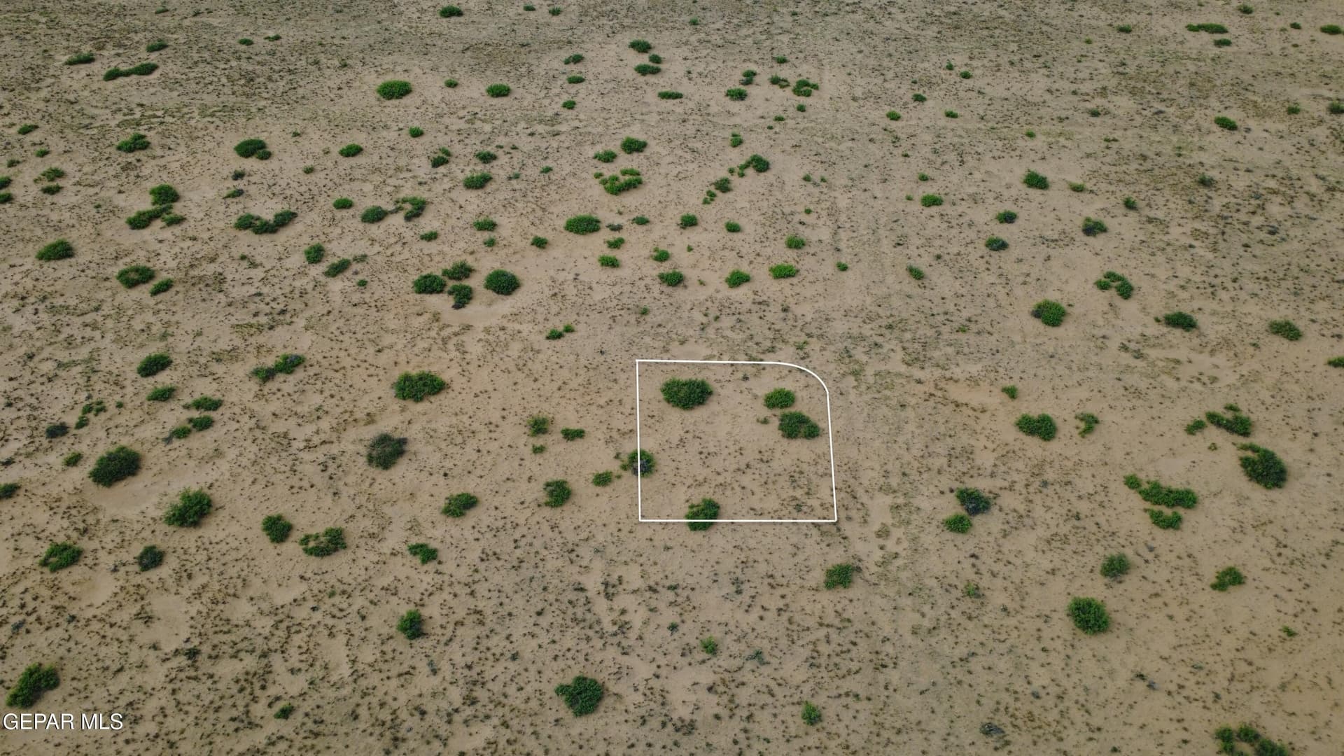 0.31 acres in El Paso County gallery image 4