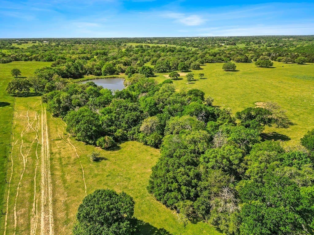 135.21 acres in Colorado County