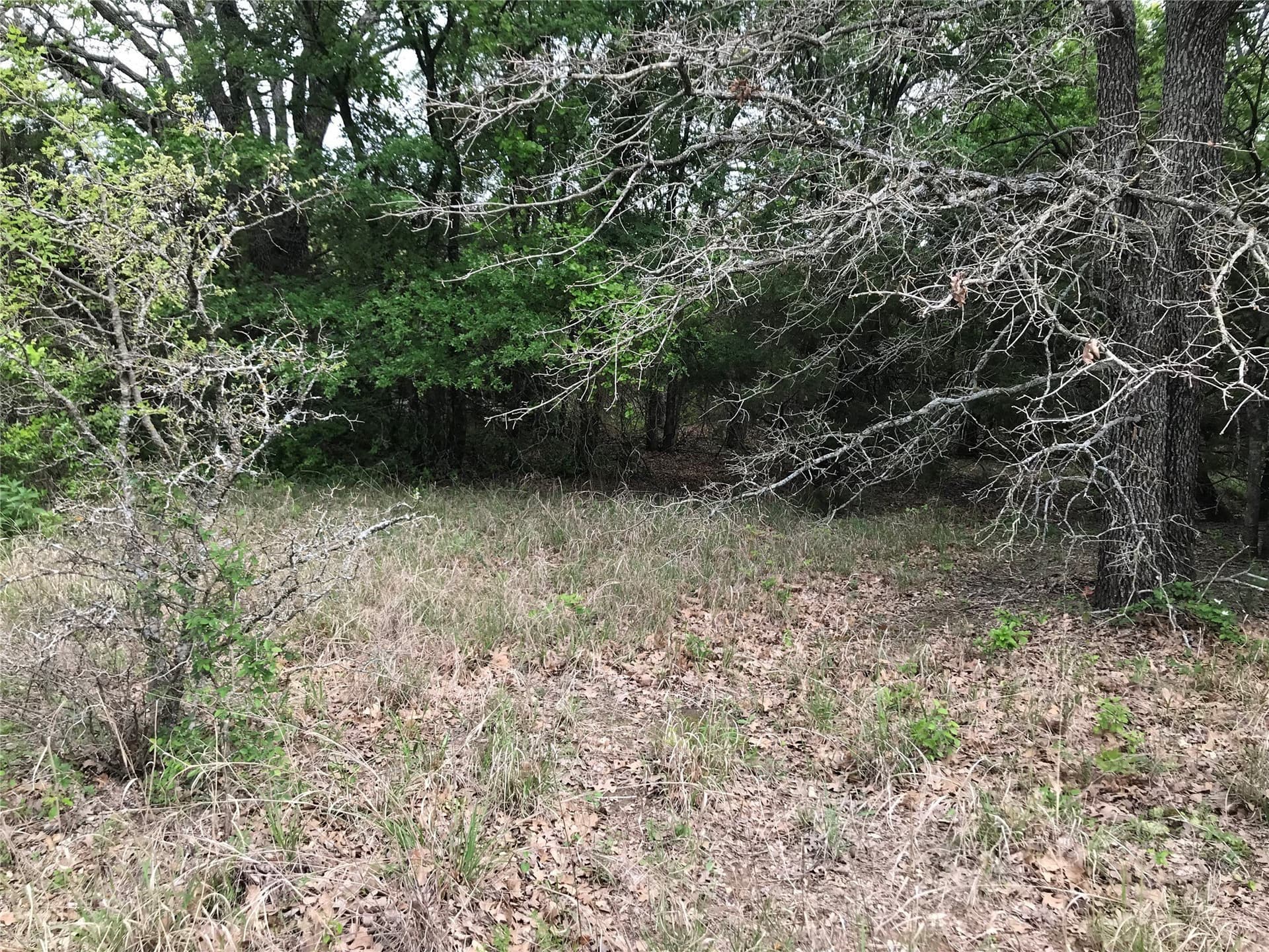 0.14 acres in Hill County - photo 4