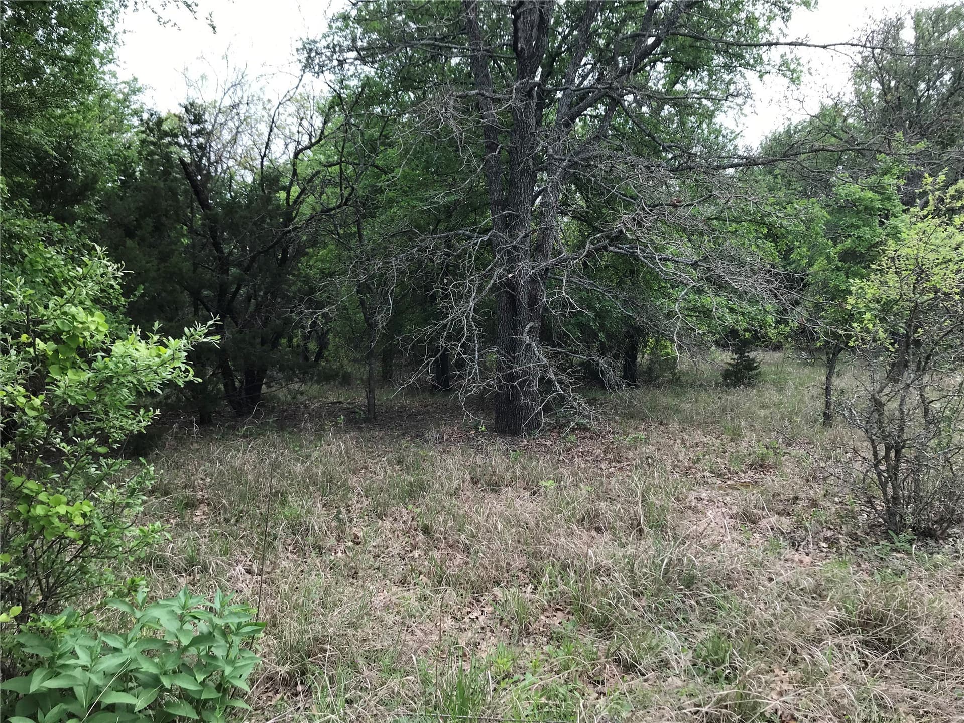 0.14 acres in Hill County - photo 7