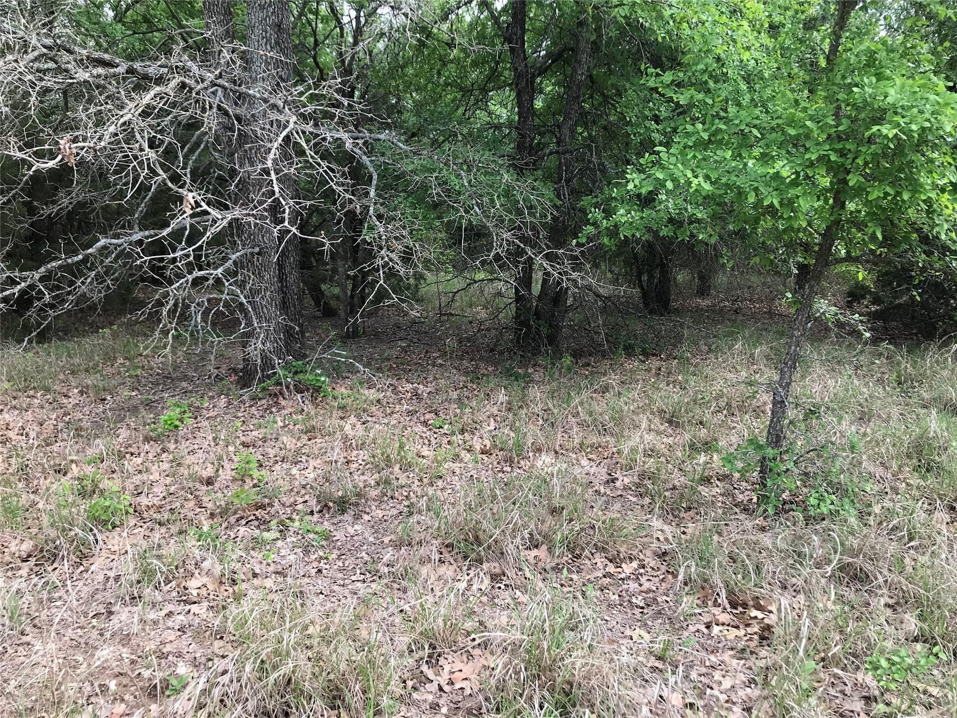 0.14 acres in Hill County - photo 6