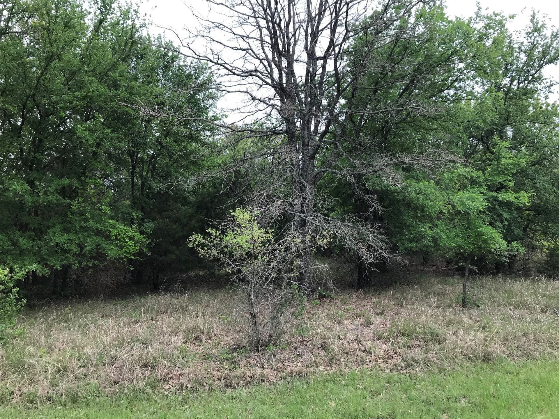 0.14 acres in Hill County - photo 3