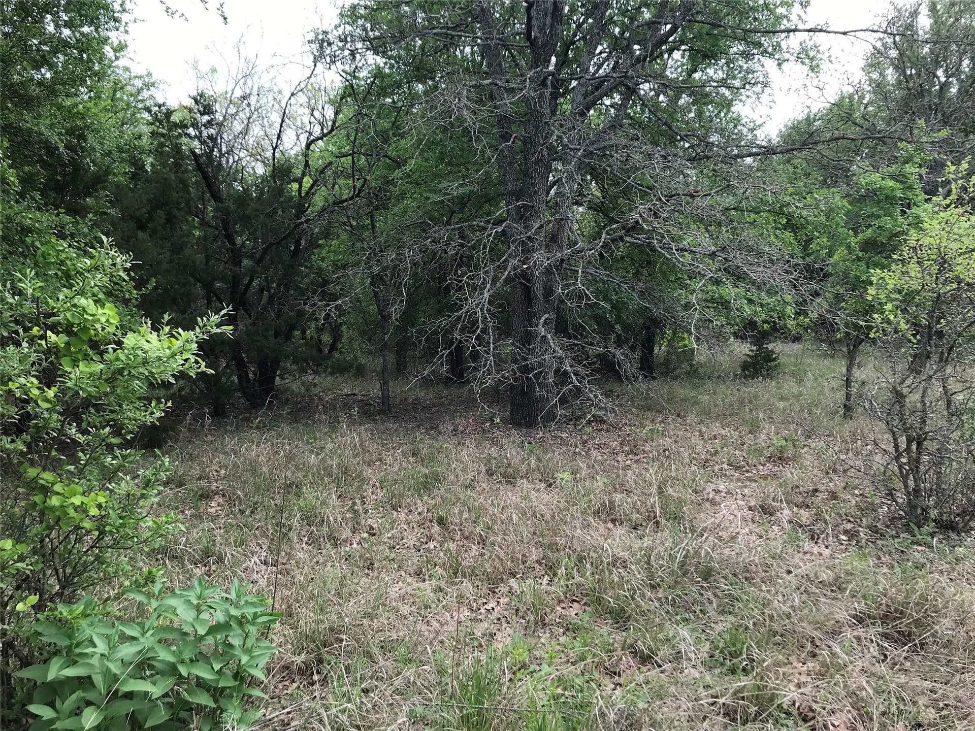 0.14 acres in Hill County - photo 8
