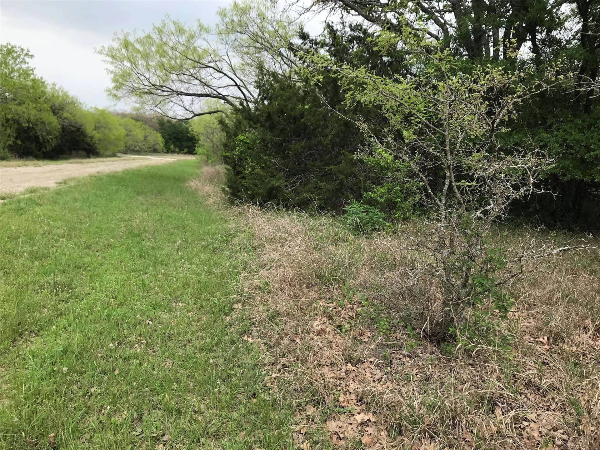 0.14 acres in Hill County - photo 2