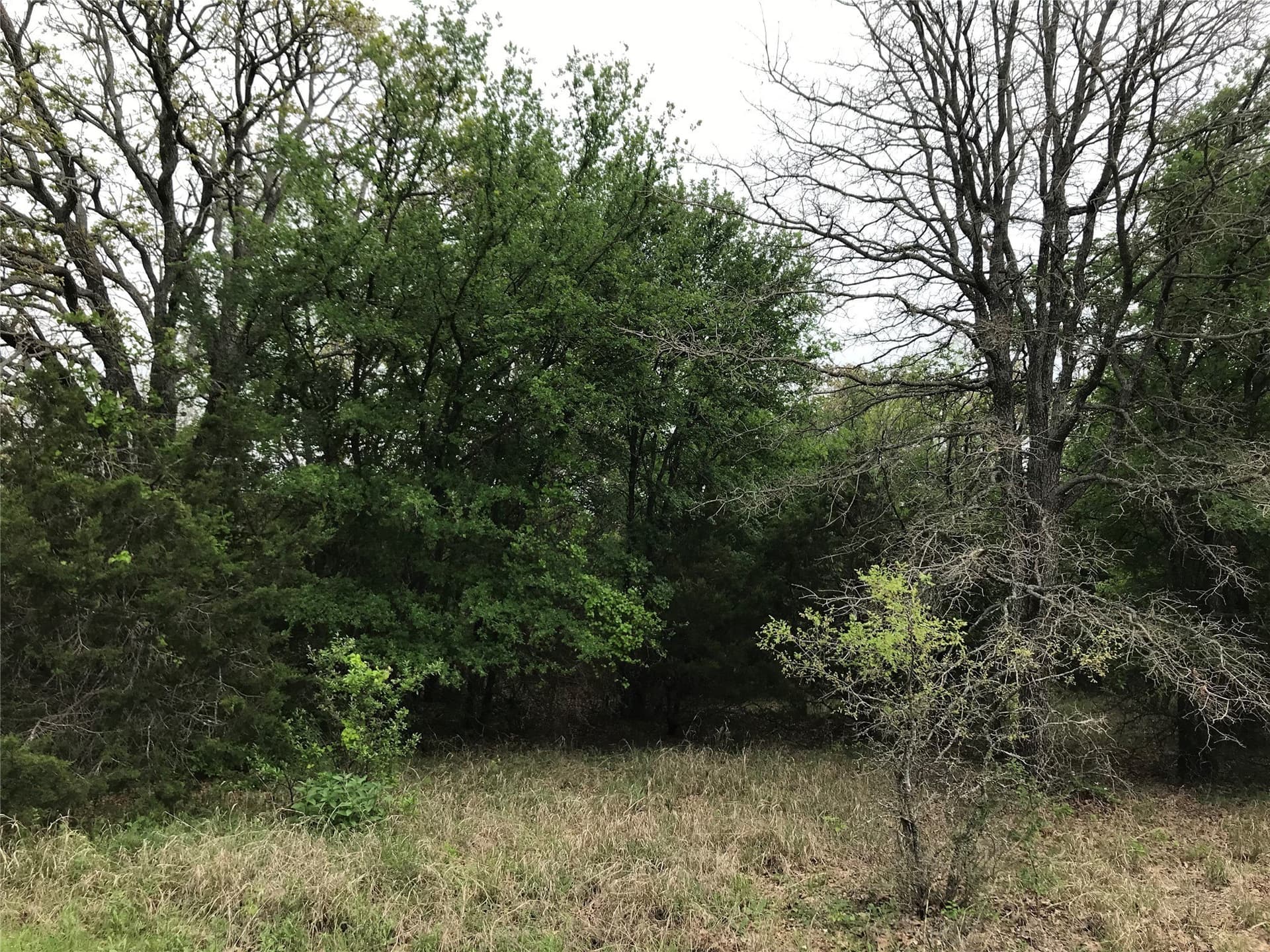 0.14 acres in Hill County - photo 5