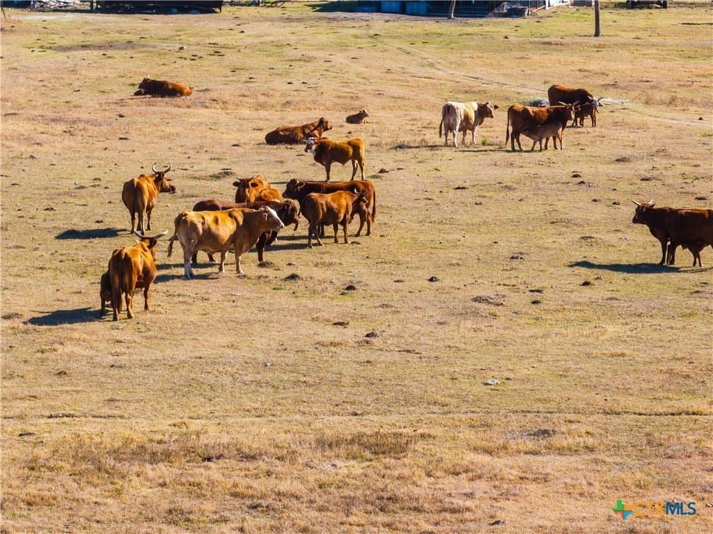 70 acres in Williamson County - photo 8