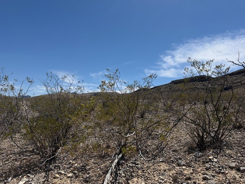20.18 acres in Brewster County - photo 6