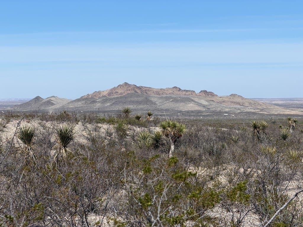 20.18 acres in Brewster County - photo 3