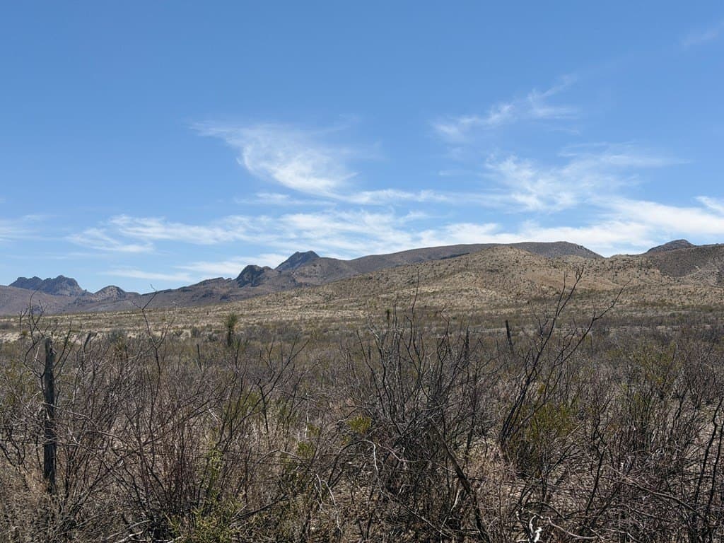 20.18 acres in Brewster County - photo 11