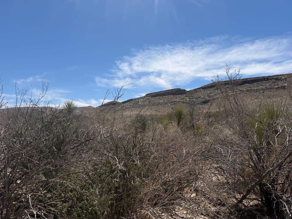 20.18 acres in Brewster County - photo 7