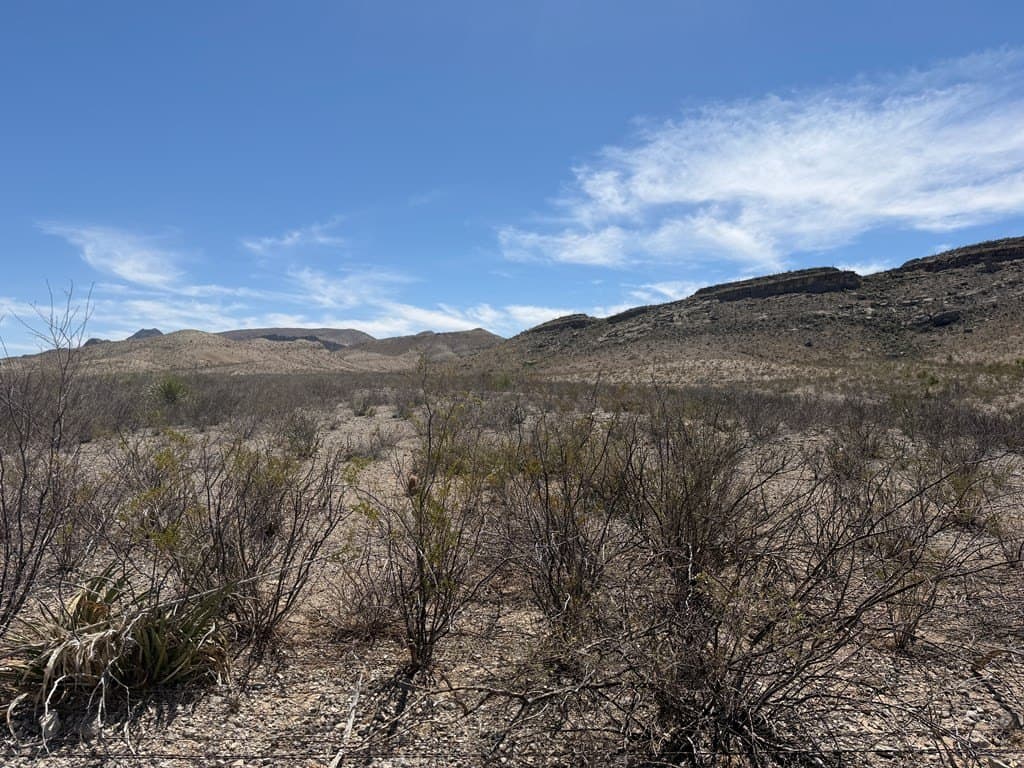 20.18 acres in Brewster County - photo 9
