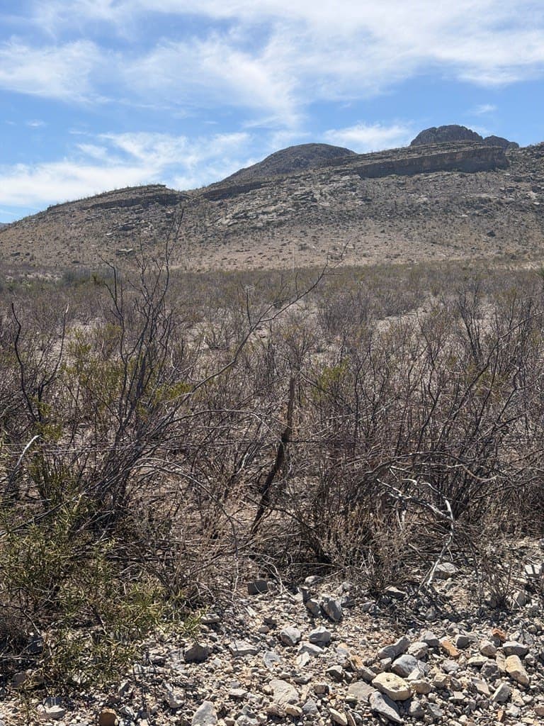 20.18 acres in Brewster County - photo 17