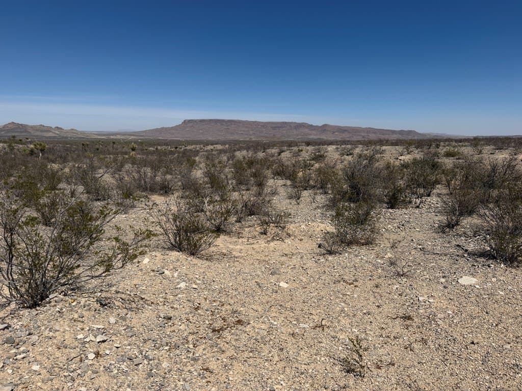 20.18 acres in Brewster County - photo 5
