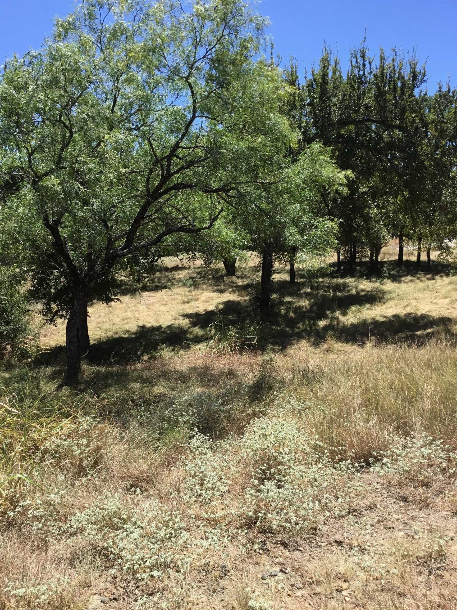 0.28 acres in Llano County - photo 10