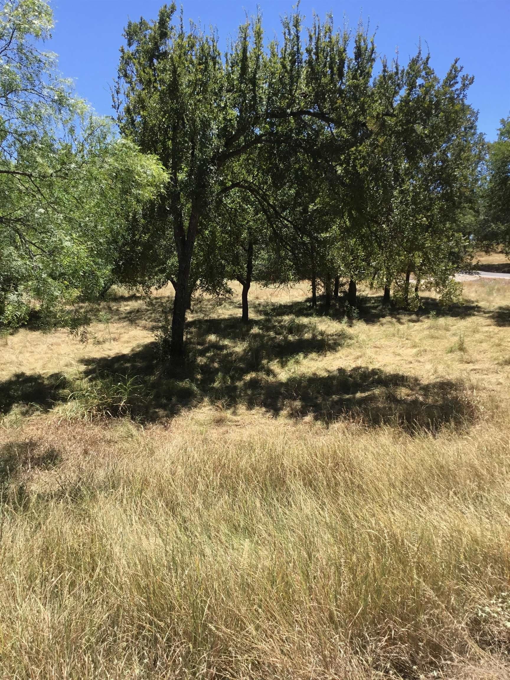 0.28 acres in Llano County - photo 9