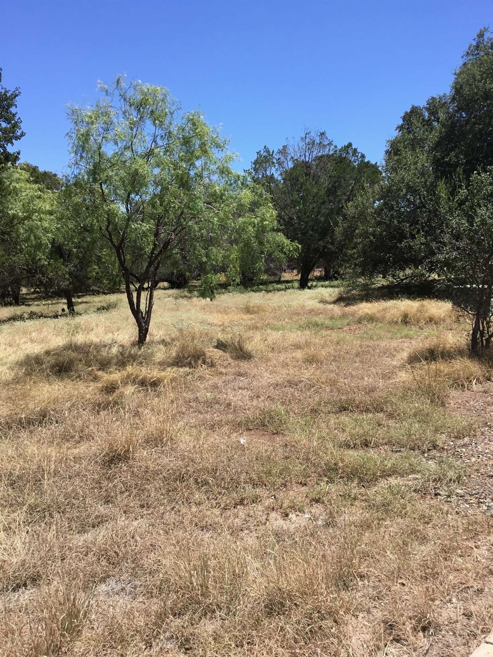 0.28 acres in Llano County - photo 7